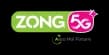 zongLogoInline